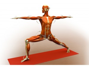 warrior2_A