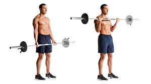 barbell-biceps-curl-450x250